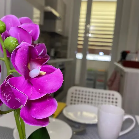 Lola Home, Ostiense * Roma